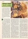 &quot;Друг&quot; 6/1994