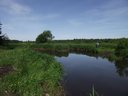В Левашово наступило лето..JPG (151.97 КБ) 5936 просмотров В Левашово наступило лето.