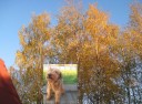 вельш-Бэрри-14-10-18.jpg