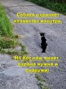 кот знает.jpg