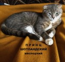 Принц-шотландский.jpg