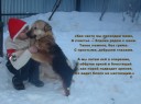 Сергей с собаками.jpg