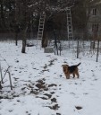 вельш утро 6 апр.jpg