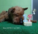В-Хеппи 17 лет.jpg