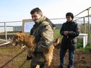 М.Н.Самурай
