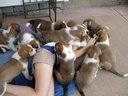 Антидепрессанты!.jpg