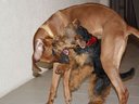 IMG_4381.JPG