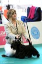 Michala Štětinová в World Dogs Show 2013 Budapest..jpg