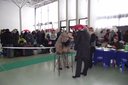 DSCF2527.JPG