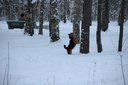 IMG_6739.jpg