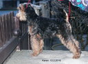 V_KAREN 13 2 2016.jpg