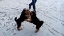 Кейс и Кими