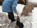 Хозяйка, ну мы же договорились! Ветки убираю Я, а ты - моешь полы...