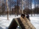 IMG-20160319-WA0003.jpg (255.84 КБ) 9924 просмотра Покоряем новые вершины