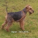 Welsh KAREN 24 5 2016.jpg