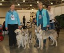 Дрессировщики УКЦ «Собаки- помощники инвалидов»