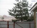 снег днём.JPG